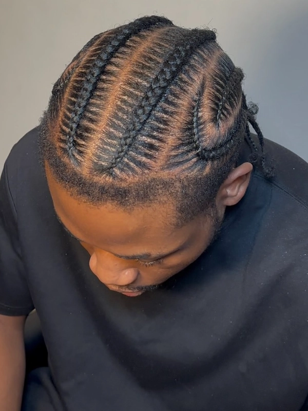 plug twist
